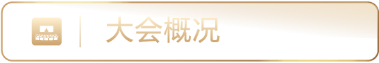 大会概況